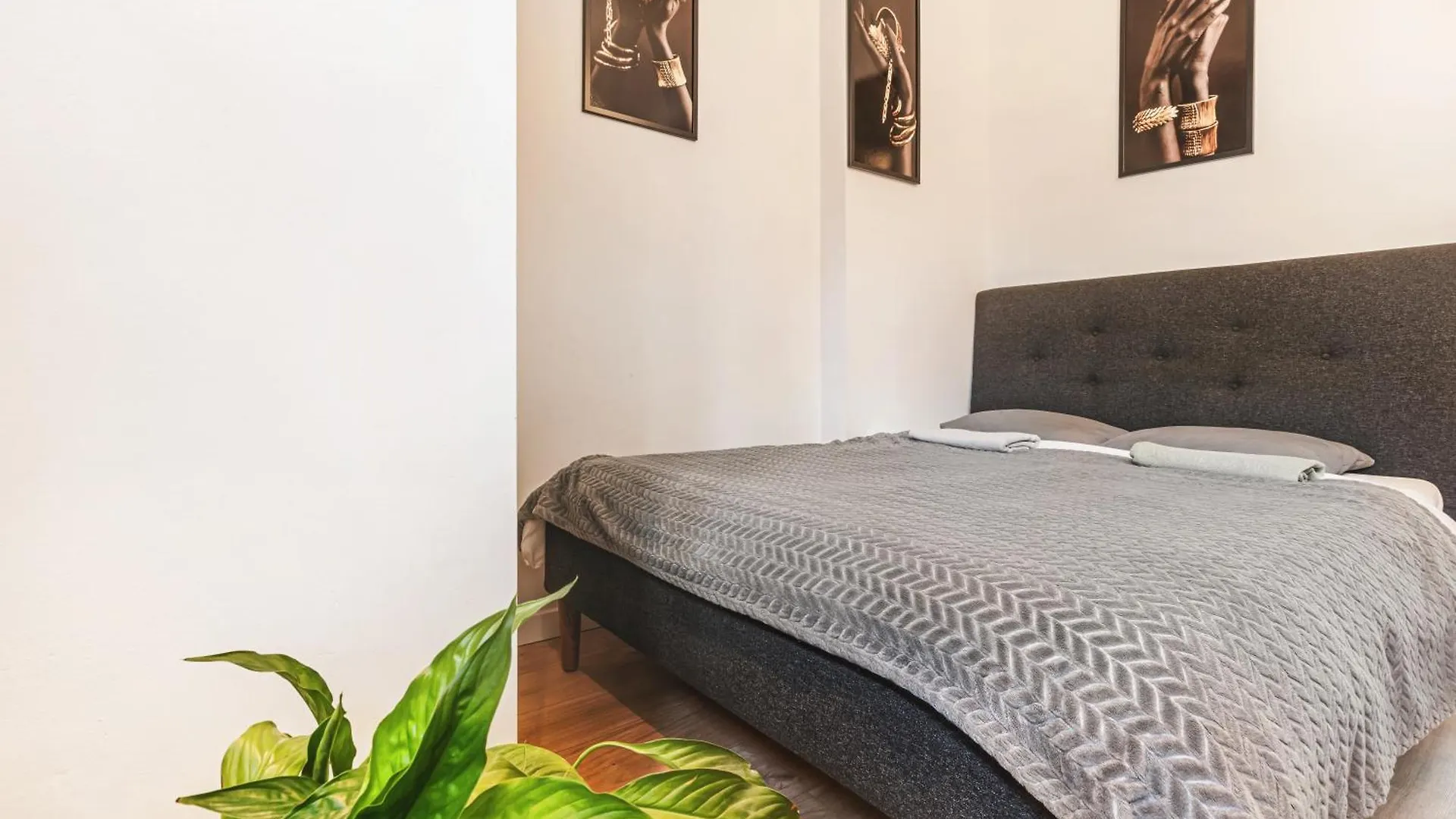 Muzyczna Oaza Przy Rynku Apartment Wroclaw